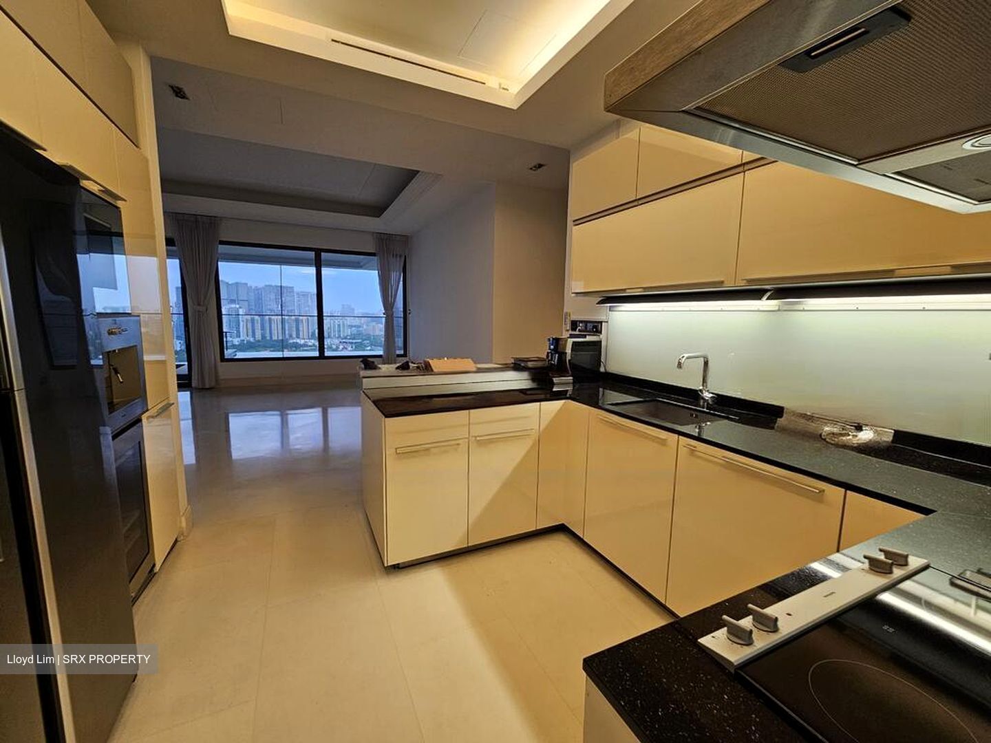 Parkview Eclat (D10), Condominium #481943311